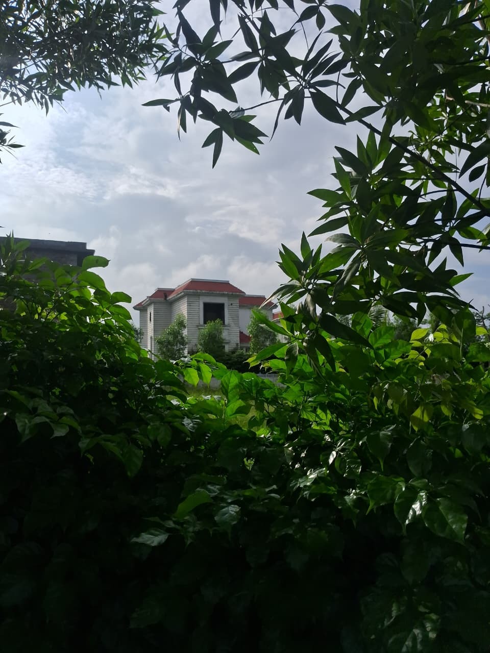 Taj Residential Project